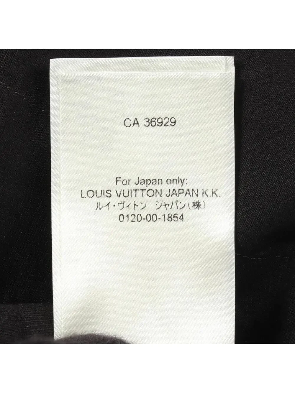Louis Vuitton elevate your
